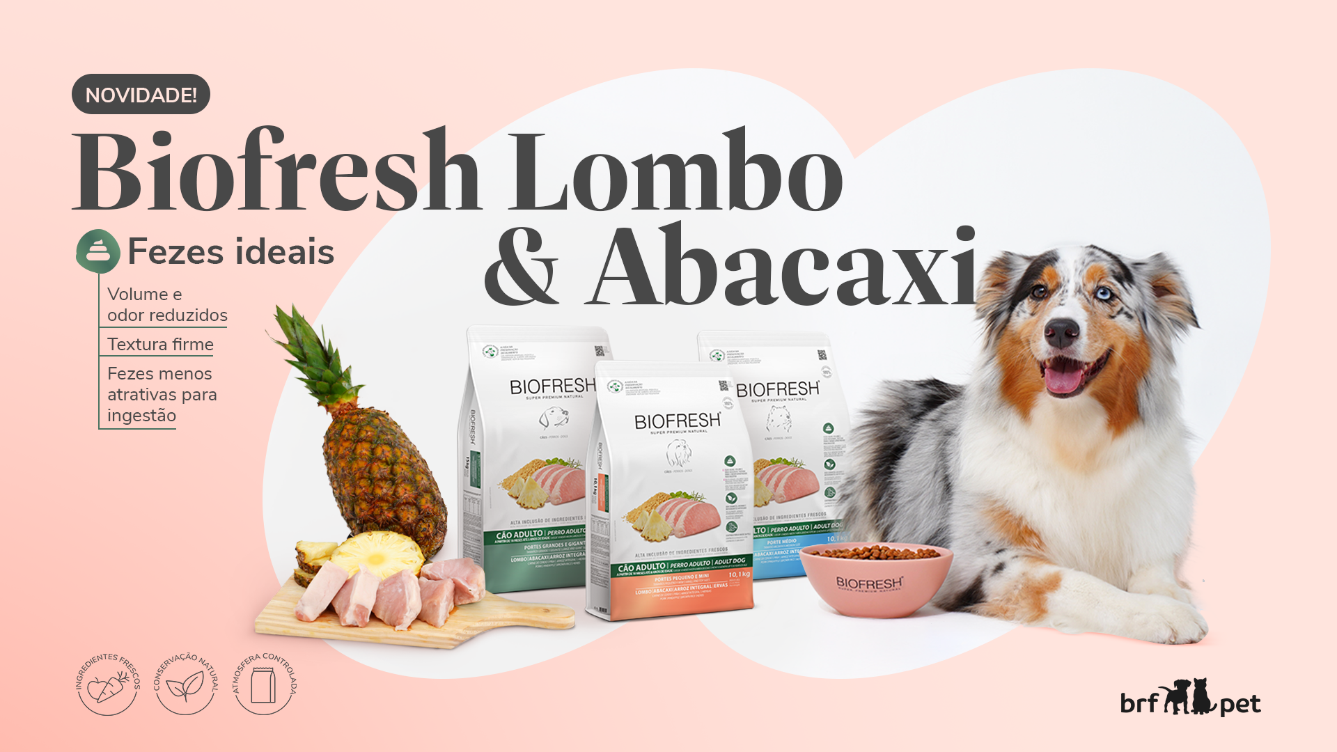 Com tecnologia exclusiva, BRF Pet lança novo sabor para cães: Biofresh Lombo & Abacaxi