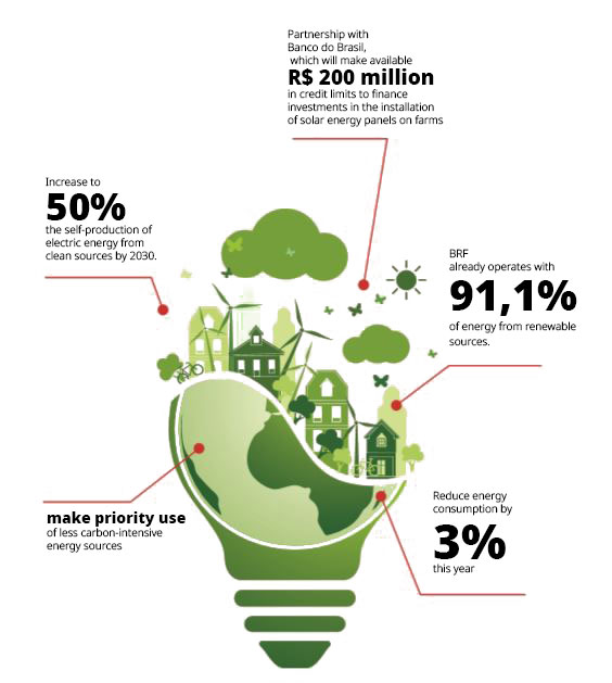 Energy - BRF Global